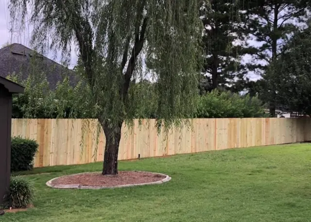 Timber privacy fence line behind a willow tree on mown grass